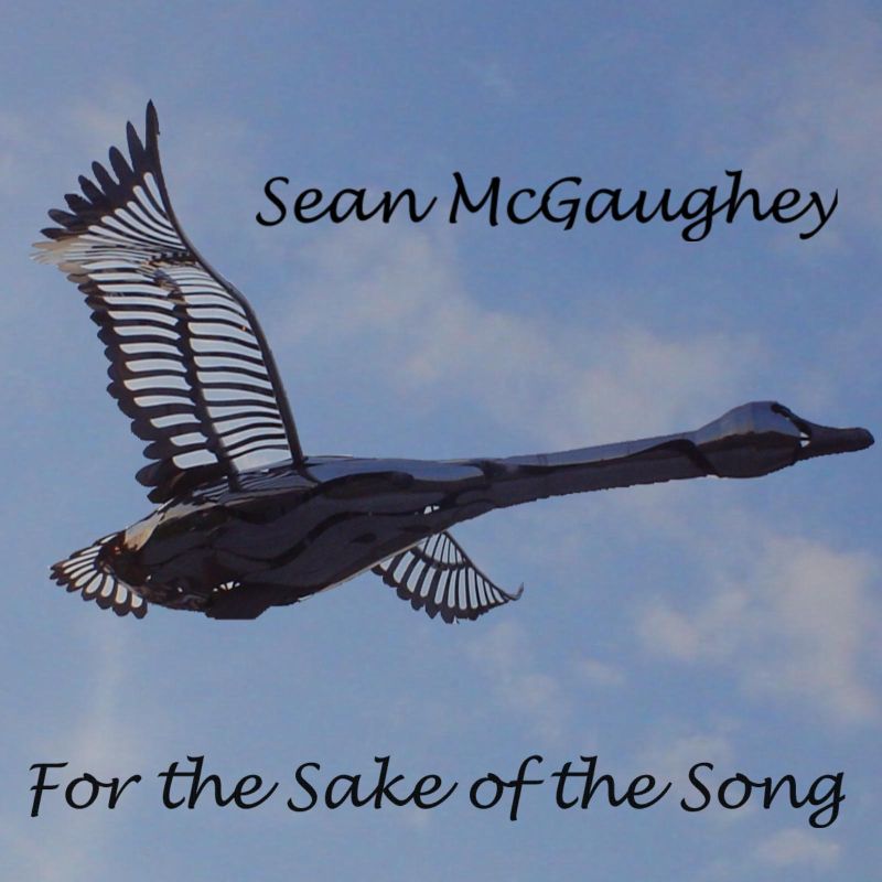 For the Sake of the Song CD cover